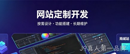 各类型网站定制开发