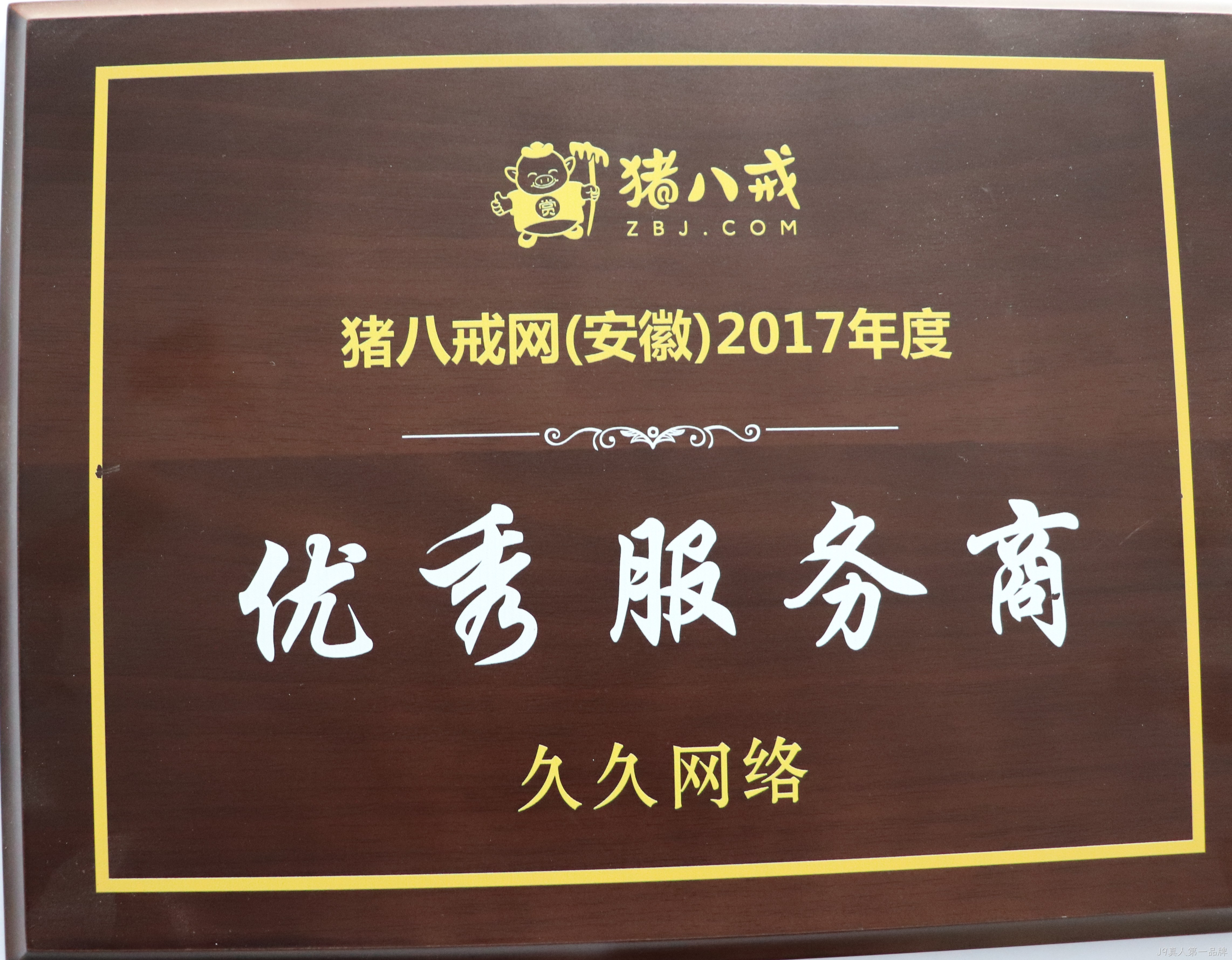 好看的企业官网视觉设计能助力搜索引擎排名吗？J9真人第一品牌网站设计兼顾体验与收录